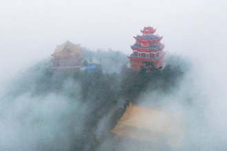 浓雾风雨杂花榭 只见丛中一点红
