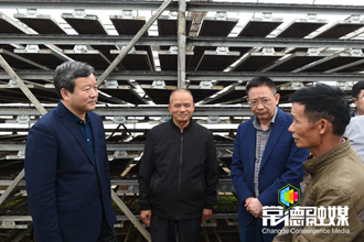 曹立军赴鼎城区调研 全力做好春耕备耕和乡村产业发展