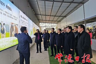 省领导来常调研春耕生产与乡村振兴工作