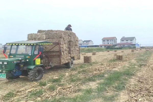 石门多途径推进秸秆禁烧