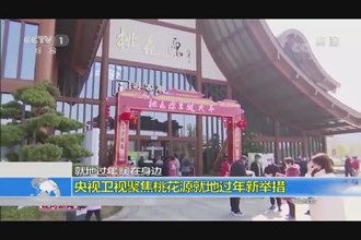 央视卫视聚集桃花源就地过年新举措