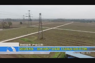 武陵区丹洲乡：加大特色产业发展 打造城乡融合示范地