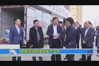 邹文辉调研粮食生产工作