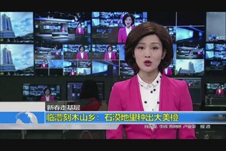 新春走基层(2.23)