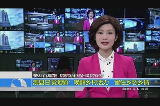 澧县甘溪滩镇：唤醒乡村活力 留住级愁乡情