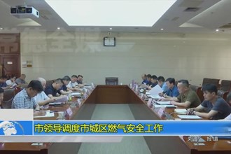 市领导调度市城区燃气安全工作