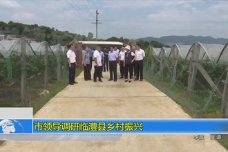 市领导调研临澧县乡村振兴工作