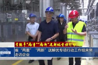省“两重”“两新”送解优专项行动工作组来常走访企业