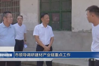 市领导调研建材产业链重点工作