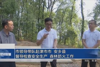 市领导带队赴津市市、安乡县督导检查安全生产、森林防火工作