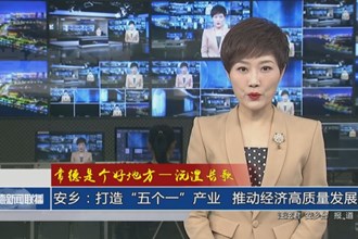 安乡：打造“五个一”产业 推动经济高质量发展