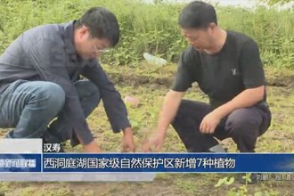 汉寿：西洞庭湖国家级自然保护区新增7种植物