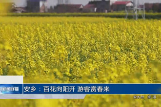 安乡：百花向阳开 游客赏春来