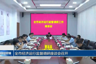 全市经济运行监督调研座谈会召开