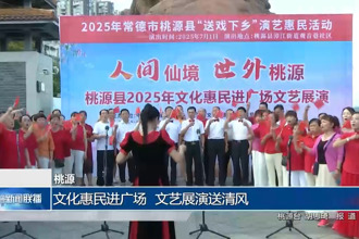 桃源：文化惠民进广场 文艺展演送清风